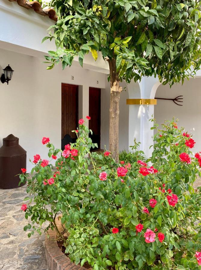 El Molino De La Quinta Apartman Constantina Kültér fotó